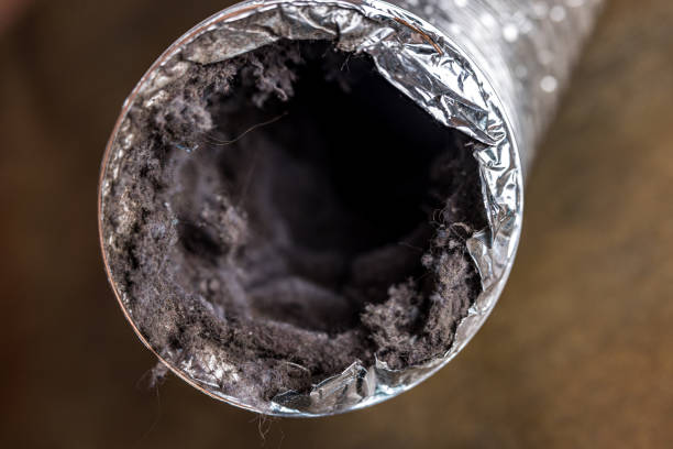 Best HVAC Duct Inspection Services  in Royal Palm Estates, FL